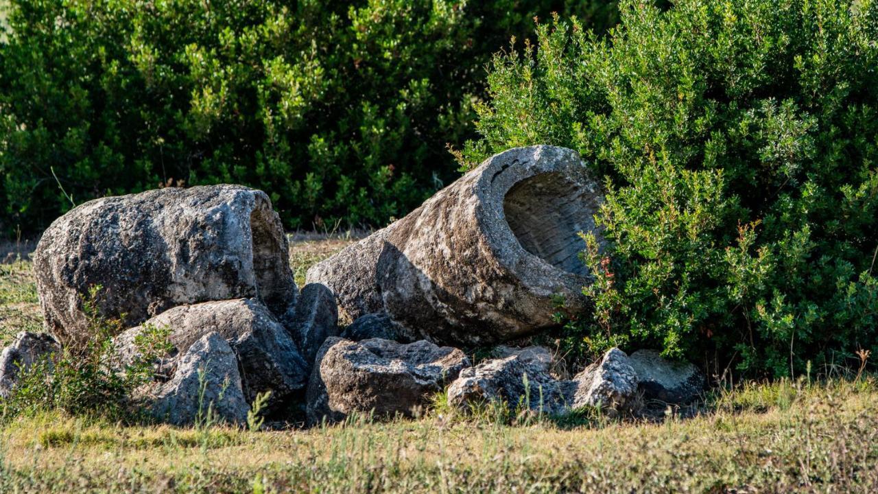 Agriturismo Carrucana Martis Екстер'єр фото