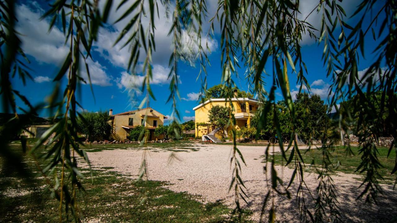 Agriturismo Carrucana Martis Екстер'єр фото
